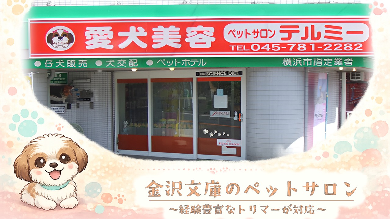 お知らせ画像3